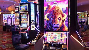 7u777 bet